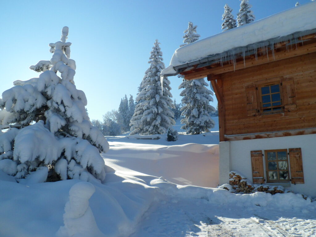 Des vacances à la neige comme dans vos rêves !